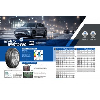 255/40 R20 101W Fortune Nivalis Winter Pro
